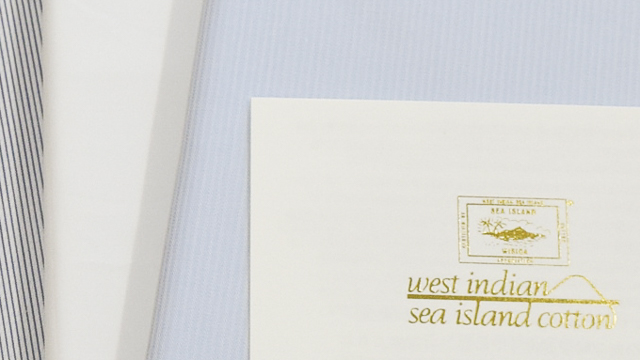 海島綿 | シーアイランドコットン